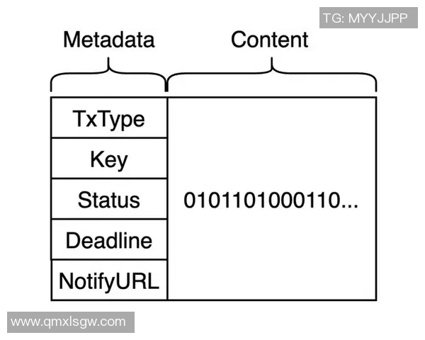 重庆排球队的战术控制体系解析与实践探讨